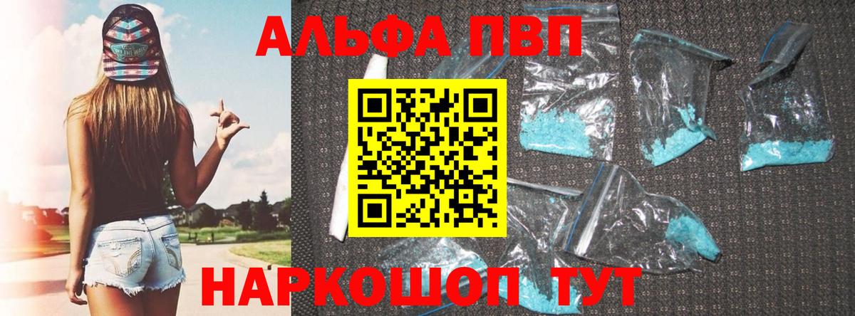 Альфа ПВП СК Ростов Великий